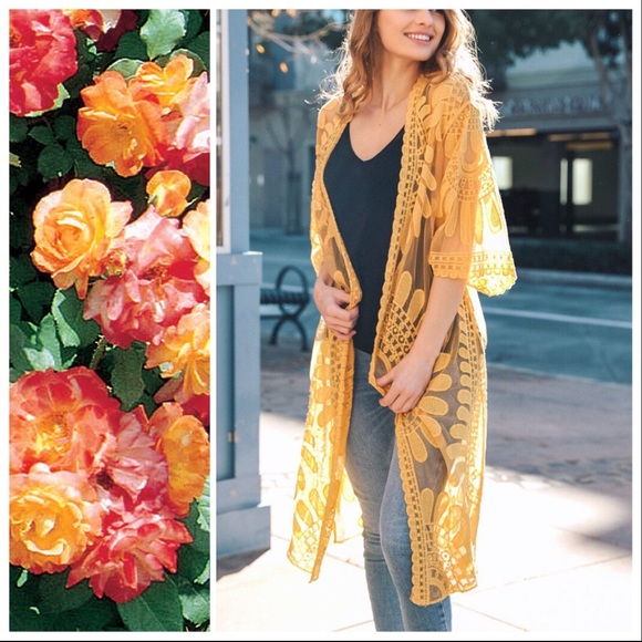 Suzanna Boho Lace and Embroidery Kimono - Picture 3 of 8